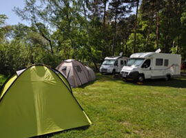 Zwei Zelte stehen links auf einer grünen Wiese bei Sonnenschein. Rechts dahinter stehen zwei Wohnmobile. Im Hintergrund sind Bäume / Wald.