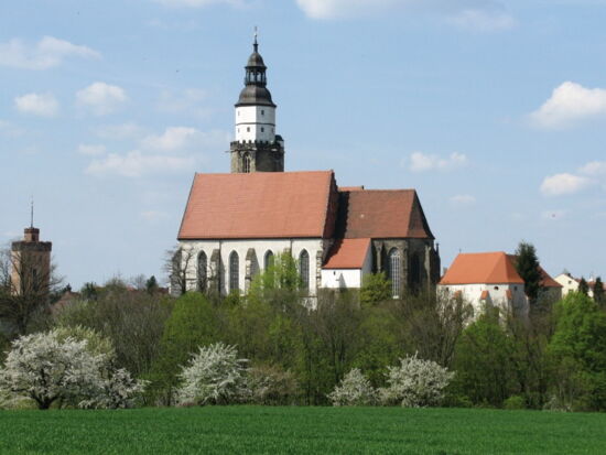 Panoramablick auf die Hauptkirche St. Marien. Kirchgebäude in der Mitte mit Kirchenschiff und Turm. Rechts die Katechismuskirche und Wohnhäuser. Links der Rote Turm. Im Vordergrund Bäume und eine grüne Wiese.