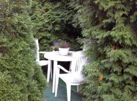 Ein kleiner runder Gartentisch mit Topfpflanze und drei Gartenstühlen umringt von Hecken.