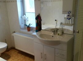 Einblick Badezimmer mit einer Dusche rechts. Links eine Toilette. Mittig ein Waschbecken mit Unterschrank, Spiegel, Handtuch und Ablageflächen neben einem Fenster mit Blumenschmuck.. 