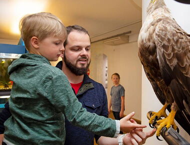 Beispiel Innenansicht des Museums der Westlausitz, Elementarium in Kamenz. Im Vordergrund ist ein Mann mit einem Kind auf dem Arm. Sie schauen sich ein Seeadler Exponat an und berühren die Krallen. Im Hintergrund Aquarien und ein Mädchen, das zuschaut.. 