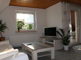Wohnzimmer Beispiel mit einer weißen Ledercouch links. Davor ein Couch-Tisch in heller Holzoptik. Rechts ein TV-Regal mit Fernseher und eine Zimmerpflanze im Topf. Im Hintergrund ein Fenster mit Pflanzen. Weiter rechts eine Balkontür.. 