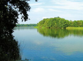 Ansicht des Deutschbaselitzer Großteiches, einem am Rand von Kamenz liegenden Erholungsgebietes. Blaues Wasser des Teiches im Vordergrund mit Schilf am linken Rand. Grüne Bäume säumen den Rand im Hintergrund. Beispiel für Freizeitareal.