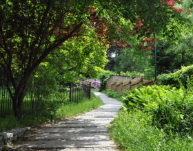 Volkspark Eingang Haberkornstraße