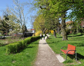 Weg entlang der Schillerpromenade, rote Bank zum ausruhen, blühende Wiese und Bäume. 