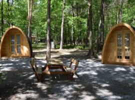 Zwei Campingfässer des Campingplatz Deutschbaselitz stehen nebeneinander zwischen Bäumen. Die Fässer sind kleine ovale Holzhäuser mit einer Glastür. Davor steht mittig auf dem Platz ein Holztisch mit zwei Bänken.