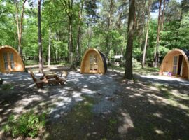 Drei kleine Campingfässer stehen nebeneinander zwischen Bäumen auf dem Campingplatz Deutschbaselitz. Es sind kleine ovale Holzbauten mit Glastür. Auf dem Platz davor stehen ein Holztisch mit zwei Holzbänken.