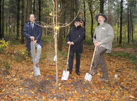 Geschäftsführer der Friedwald GmbH Matthias Laufer, OB Roland Dantz und Waldbesitzer André Ransch pflanzen Ginkgo-Baum  - links nach rechts. 