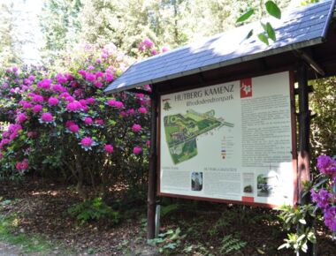 Große überdachte Übersichtstafel / Wegeplan des Rhododendronparks am Fuße des Hutbergs. Links und rechts daneben blühne bunte Rhododendronblüten. Beispiel für den Hutbergpark.