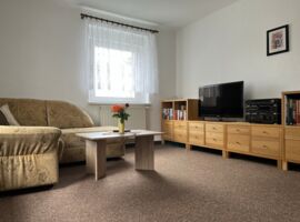 Wohnraum mit TV und Sofa