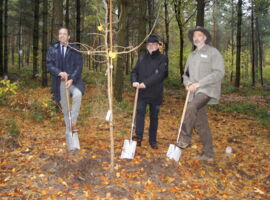 Geschäftsführer der Friedwald GmbH Matthias Laufer, OB Roland Dantz und Waldbesitzer André Ransch pflanzen Ginkgo-Baum  - links nach rechts