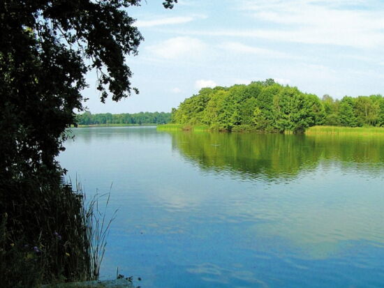 Ansicht des Deutschbaselitzer Großteiches, einem am Rand von Kamenz liegenden Erholungsgebietes. Blaues Wasser des Teiches im Vordergrund mit Schilf am linken Rand. Grüne Bäume säumen den Rand im Hintergrund. Beispiel für Freizeitareal.