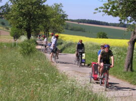 Radfahrer zwischen blühenden Rapsfeldern im Sommer