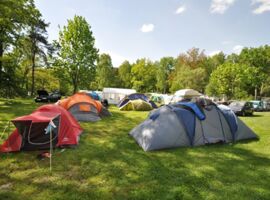 Zelte auf dem Campingplatz Deutschbaselitz. Beispielansicht für Zeltbereiche mit vielen unterschiedlichen Zelten auf einer grünen Wiese bei Sonnenschein. Im Hintergrund ein größeres Pavillon-Zelt und verschiedene Autos.
