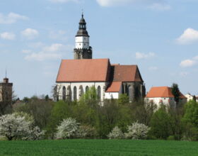 Panoramablick auf die Hauptkirche St. Marien. Kirchgebäude in der Mitte mit Kirchenschiff und Turm. Rechts die Katechismuskirche und Wohnhäuser. Links der Rote Turm. Im Vordergrund Bäume und eine grüne Wiese.