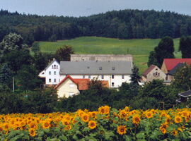 Außenansicht des Bauernhof Büttner. Ein großes Areal mit mehreren größeren und kleineren Gebäuden, ähnlich einem Dreiseit- bzw. Vierseithof. Im Vordergrund ein Feld voller Sonnenblumen. Im Hintergrund Wiesen und Wald.. 