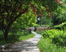 Volkspark Eingang Haberkornstraße. 