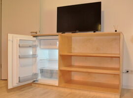 Ansicht eines Fernsehschrankes aus Holz mit einem integrierten Kühlschrank. Darauf stehen ein TV und Duftstäbchen. Links davon eine Tür.. 