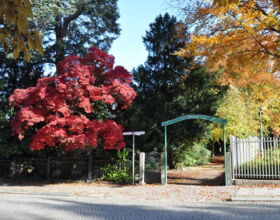 Volkspark Eingang Poststraße