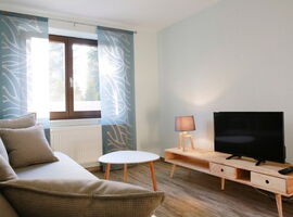 Alternative Ansicht des Wohnzimmers vom Sofa aus. Blick auf das Fenster links. Davor ein kleiner Couchtisch. Rechts ein TV-Reck aus Holz mit einem Fernseher und einer kleinen Lampe.. 