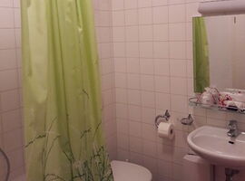 Badezimmer mit einer Dusche links und einem grünem Duschvorhang in Gras-Optik. Dahinter eine Toilette. Rechts ein Waschbecken mit Ablage und Spiegel mit Beleuchtung.. 