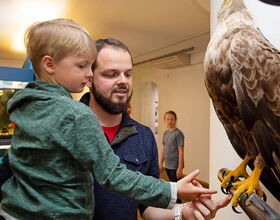 Beispiel Innenansicht des Museums der Westlausitz, Elementarium in Kamenz. Im Vordergrund ist ein Mann mit einem Kind auf dem Arm. Sie schauen sich ein Seeadler Exponat an und berühren die Krallen. Im Hintergrund Aquarien und ein Mädchen, das zuschaut.. 
