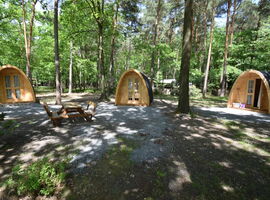 Drei kleine Campingfässer stehen nebeneinander zwischen Bäumen auf dem Campingplatz Deutschbaselitz. Es sind kleine ovale Holzbauten mit Glastür. Auf dem Platz davor stehen ein Holztisch mit zwei Holzbänken.. 