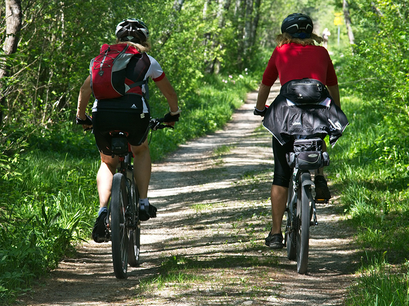 Radfahrer auf Waldweg Zwei Radfahrer/innen, die einen Waldweg entlang fahren. Rückenansicht während der Fahrt. Am Rand rechts und links Gras und Bäume. Beispielbild für Freizeitaktivität in Kamenz.