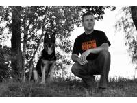 www.diehundelehrer.de Firmenlogo