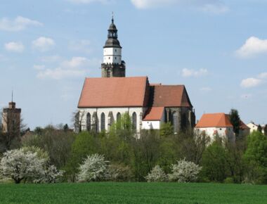 Panoramablick auf die Hauptkirche St. Marien. Kirchgebäude in der Mitte mit Kirchenschiff und Turm. Rechts die Katechismuskirche und Wohnhäuser. Links der Rote Turm. Im Vordergrund Bäume und eine grüne Wiese.