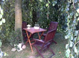 Ein brauner Klapptisch mit einem Teelicht und Pflanzdekoration. Er steht an einem Baum umwickelt mit einer Lichterkette. Um den Tisch sind drei Stühle. Die Sitzgruppe ist überdacht von Blätterranken.