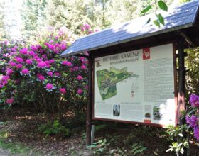 Große überdachte Übersichtstafel / Wegeplan des Rhododendronparks am Fuße des Hutbergs. Links und rechts daneben blühne bunte Rhododendronblüten. Beispiel für den Hutbergpark.